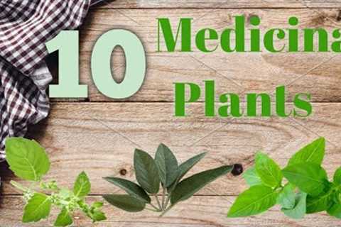 10 Best Medicinal/Healing plants you can grow at home
