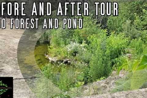 Before and After Food Forest and Aquascape Ecosystem Pond videos - as part of a site wide tour!