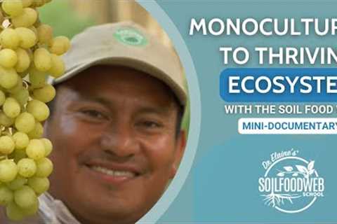 From Desert to Abundance: Overcoming Monoculture Challenges | Soil Food Web School Documentary