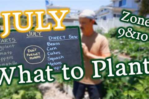 What to Plant in July & Garden Tasks for Zones 9 & 10