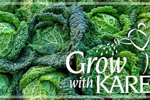 Grow with KARE: What to plant in July
