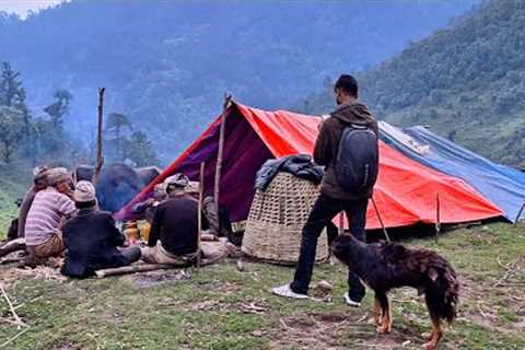Nepali Mountain Village Life | Organic shepherd People Food | shepherd Life in Nepal |