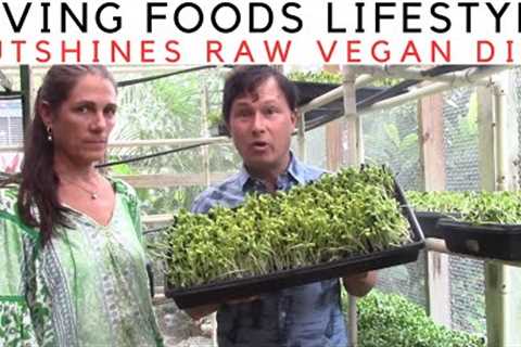 The Living Foods Healing Lifestyle: Why It Outshines Raw Vegan Diet