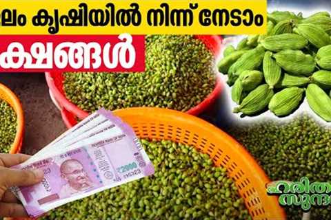 See how Kumily farms makes lakhs of profit from Cardamom cultivation | Haritham Sundaram EP 440