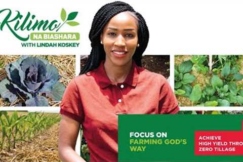 Why Farmers Are Using God''s Way for Greater Harvests | Kilimo na Biashara