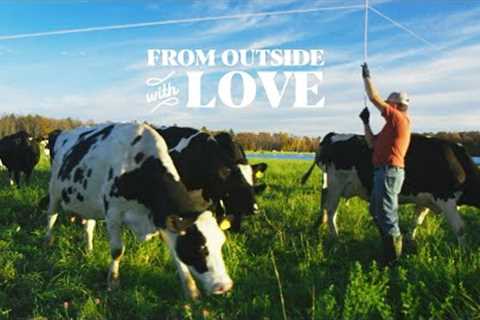Organic Farming with Dairy Cows | Organic Valley