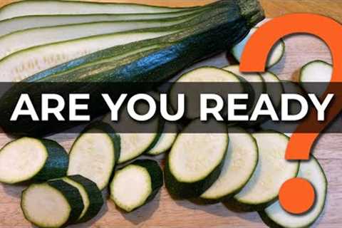 10 Brilliant Ideas to Use Your Excess Zucchini and Courgettes