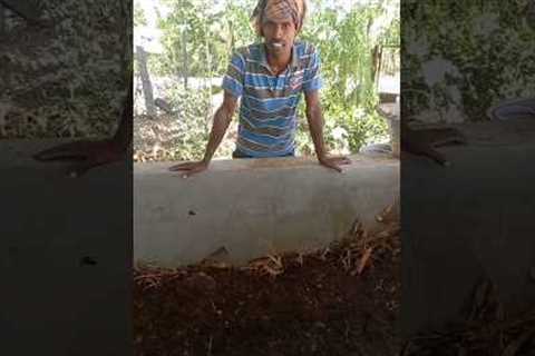How to prepare Vermicompost pit for Organic farming - Part 1 #organicfarming #vermicompost
