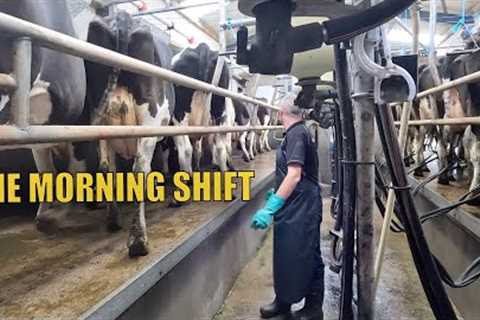 MY BUSY MORNING ROUTINE | DAIRY FARMING IRELAND