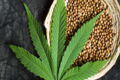 Is Hemp a Superfood? The Benefits of Eating Hemp Seeds