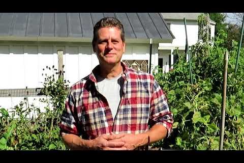 Garden Grounds E-19:  Cool Crop Transplants and Direct Seeding July Warm Crops