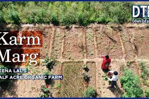 How to grow a half acre organic farm in Faridabad, India | Karm Marg Charitable Society