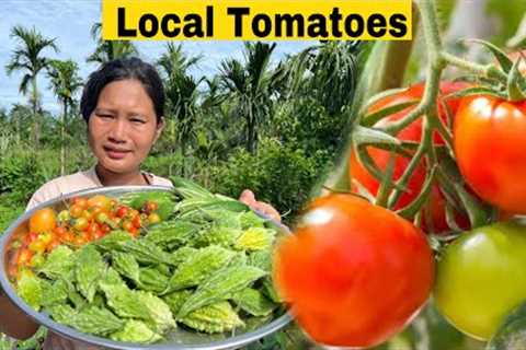 Collect Local Tomatoes from Garden  |Expensive Local Tomatoes 🍅 | Cooking and Eating Green Sabji