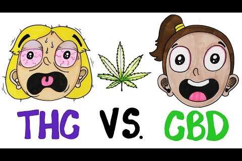 THC vs CBD: What’s In Your Weed?