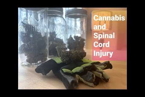 Spinal Cord Injury & Cannabis (Medical Marijuana, CBD Oil for Spinal Cord Treatment &..