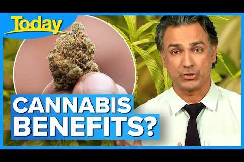 Could cannabis become a medical staple? New research reveals more benefits | Today Show Australia