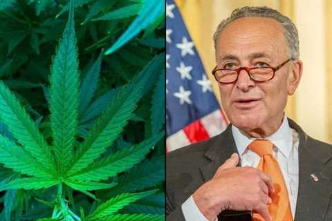 Schumer Touts 'Good Progress' On Marijuana Banking Bill, Saying It Has 'Always Been A Priority For..