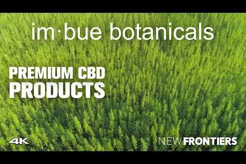 Imbue Botanicals in Leading Clinically Effective Premium CBD Products