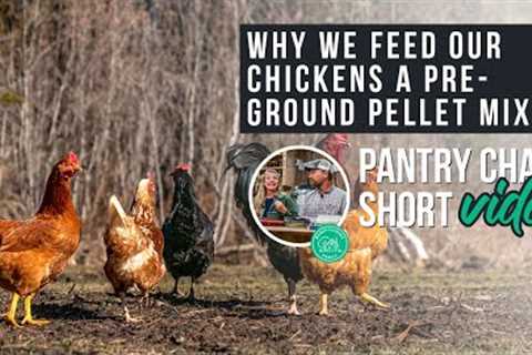 Why do we feed our chickens a pre-ground pellet mix instead of foraging the natural way? 123