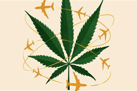 Can you fly with medical marijuanas?