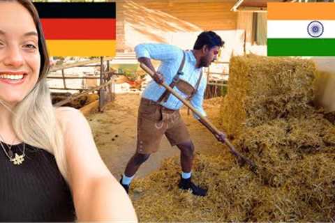 My Indian Husband Works at German Cow Farm 🐮🥛