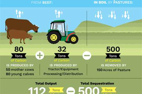 Unlock the Art of Responsible Eating - Grass-Fed Beef