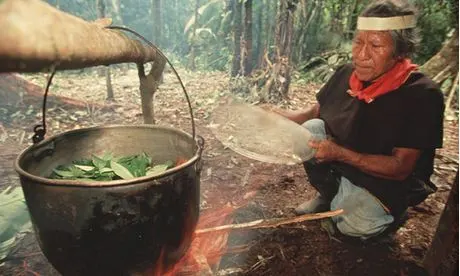 Can Ayahuasca Cures Depression