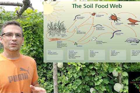 A complete guide to soil microbiology.