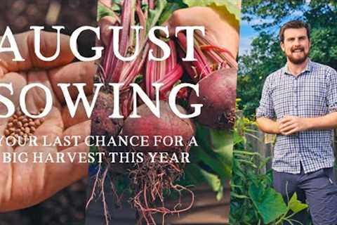 23 Crops You Need to Sow in August | Last Chance