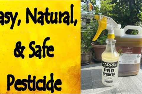 Natural, Safe, and Easy Pesticide