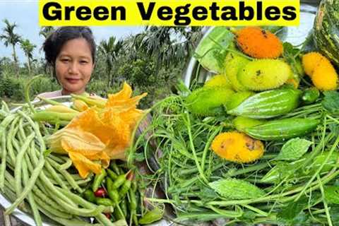 Collecting and Eating Green Vegetables at my home Vegetable garden | Cook and Eating