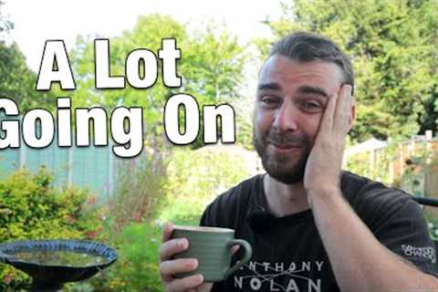 Big Updates - Home Garden Project + Allotment & Polytunnel