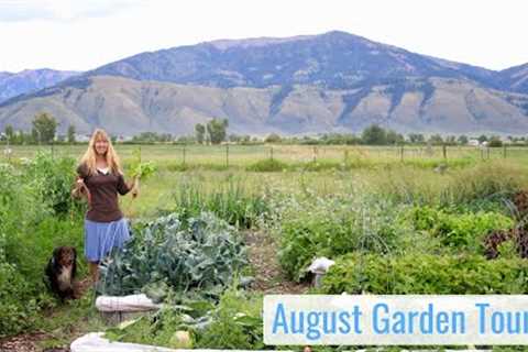 August Tour of the Tiny House Garden, Record Crops & Weeds - Food Production in the WY Mountains