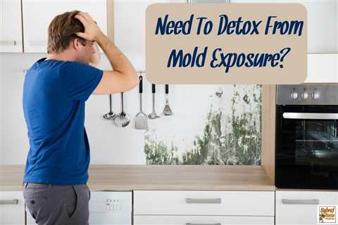 How To Detox From Mold Toxicity
