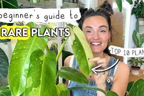 10 Amazingly Easy RARE Plants 🌱 A Beginner''s Guide To Rare Houseplants