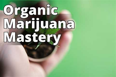 From Seed to Harvest: A Step-by-Step Guide to Growing Organic Marijuana