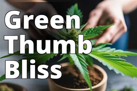 The Beginner’s Guide to I Love Growing Marijuana Seeds