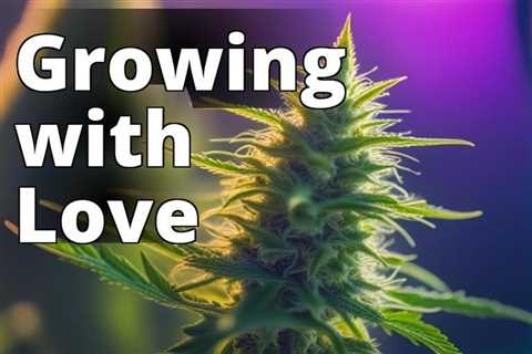 From Seed to Harvest: The Ultimate Guide for Hobbyist Marijuana Plant Growers