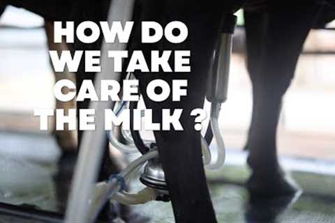 How do we take care of milk ?