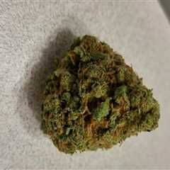 Is silver haze strong?