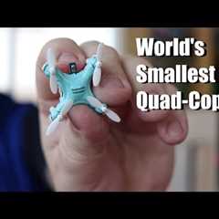 Worldâs Smallest Quad Copter