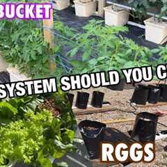 Which Hydroponic System Should You Choose? (For Specific Plant Types)