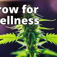 Cultivating Your Own Medicine: The Ultimate Guide to Growing Marijuana for Holistic Well-Being