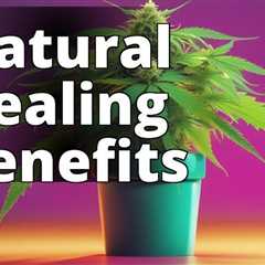 The Ultimate Guide to Growing Marijuana for Natural Healing Enthusiasts