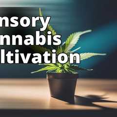 The Ultimate Hobby: Growing Marijuana for Sensory Enhancement