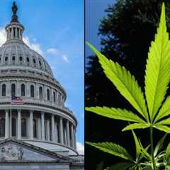 Congressional Committee Will Vote On Removing Marijuana As Barrier To Federal Employment Or..