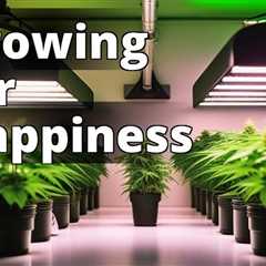 The Ultimate Guide to Growing Marijuana for Personal Contentment and Relaxation