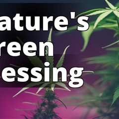 Unveiling the Health Benefits of Growing Marijuana for Natural Inspiration