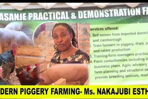How Does One Increase On Piggery And Poultry Production With Ms.Nakajubi Esther.