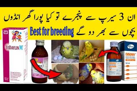 Best vitamins,Minerals and Calcium for birds breeding | australian parrots breeding medicine